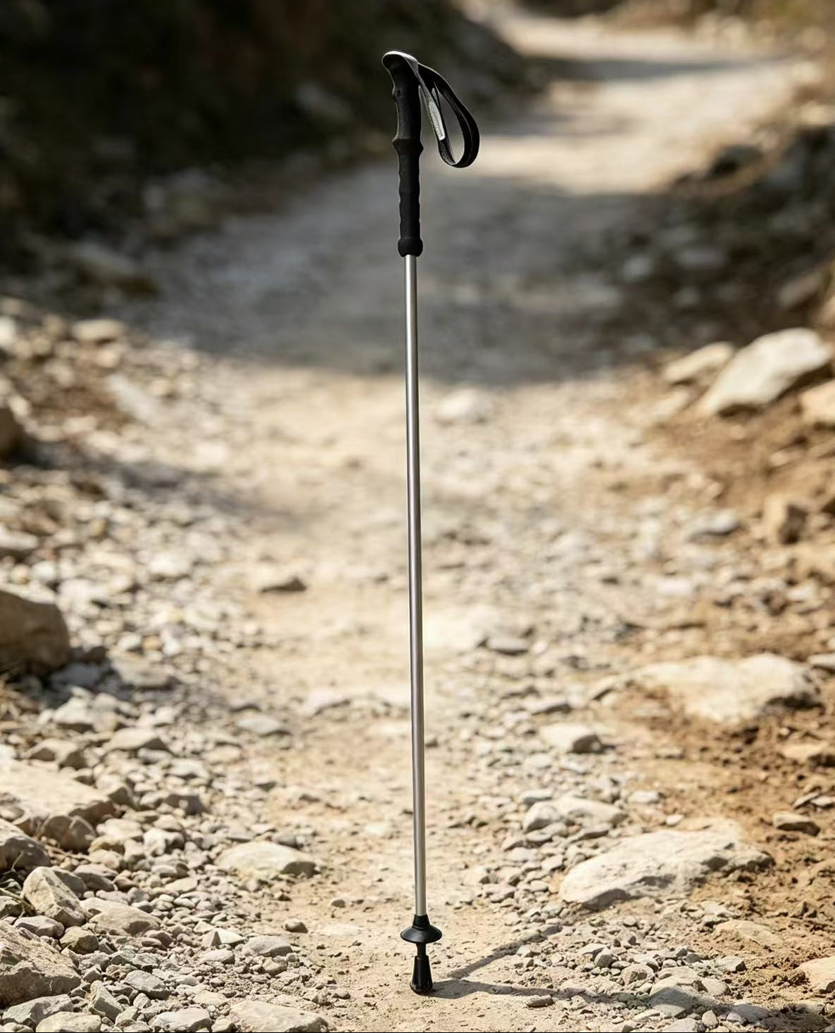 A single hiking pole with a black handle and wrist strap stands upright on a rocky dirt trail outdoors.